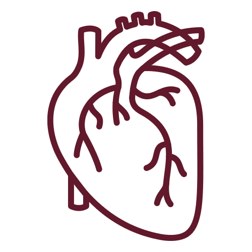 Cardiovascular-icon